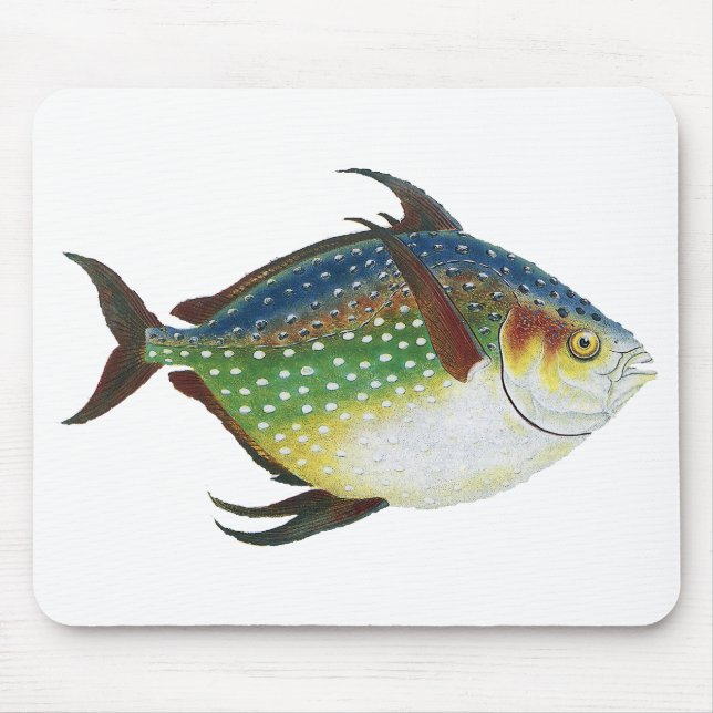 Mousepad Peixe Opah Tropical, Animal Aquático Marinho Vinta (Frente)