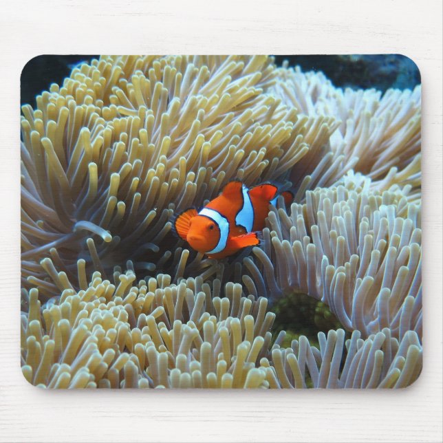 Mousepad Peixe-palha num recife de coral (Frente)
