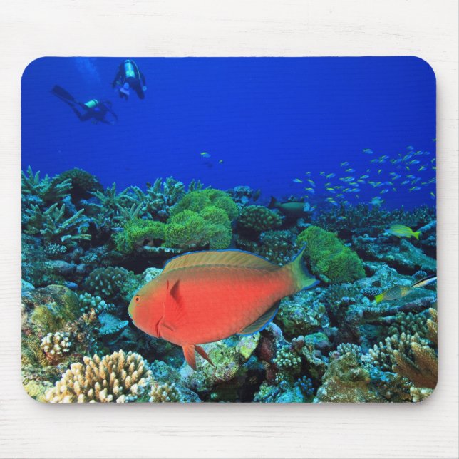 Mousepad Peixe-papagaio Cabeça-de-Carneiro Scarus (Frente)