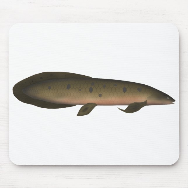 Mousepad Peixe-pulmão australiano (Frente)