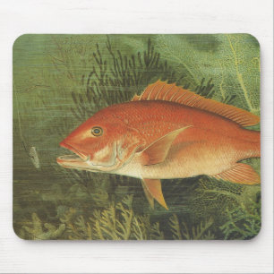 Mousepad Peixe-Snapper Vermelho no Oceano, Vida Marinha Vin