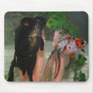 Mousepad peixes