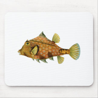 Mousepad Peixes amarelos