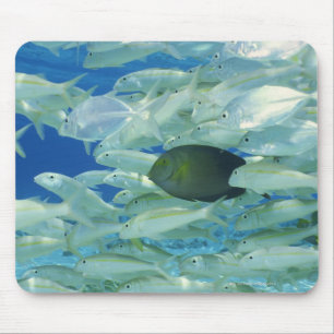 Mousepad Peixes amarelos do cirurgião com o peixe dourado