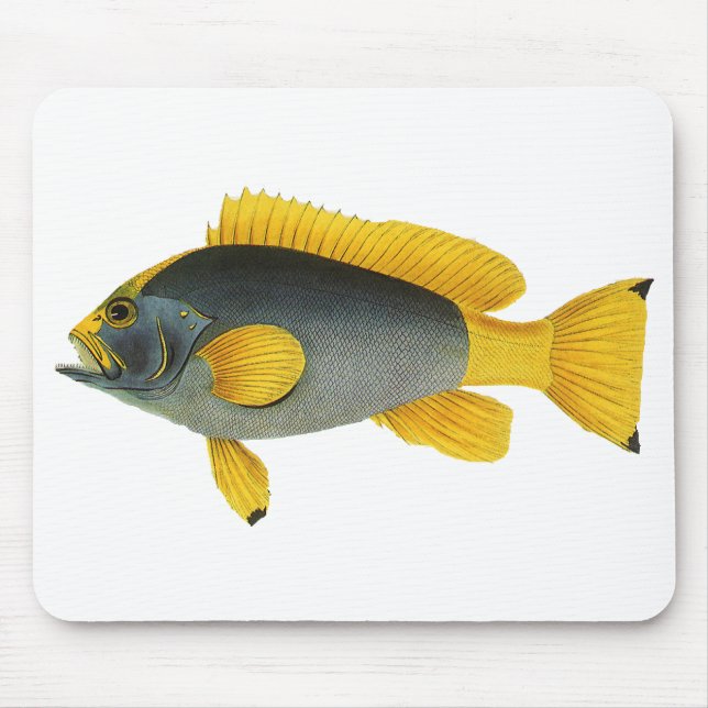 Mousepad Peixes Azuis e Amarelos Vintage, Vida Marinha (Frente)