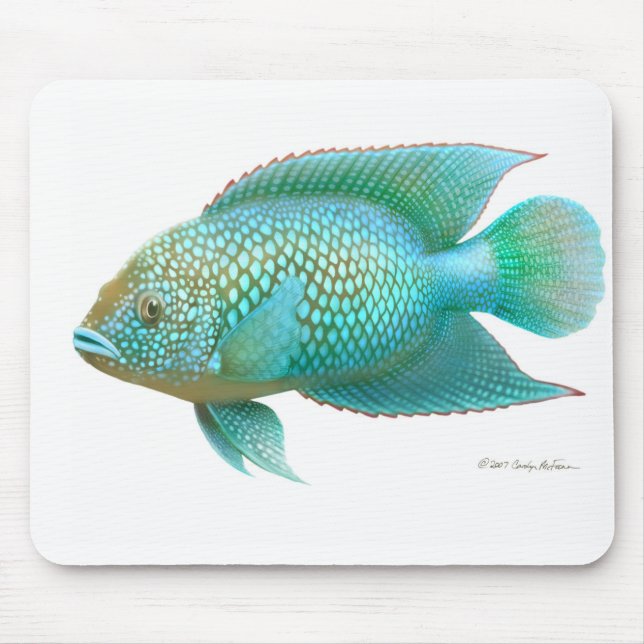 Mousepad Peixes de cichlidae de Jack Dempsey (Frente)