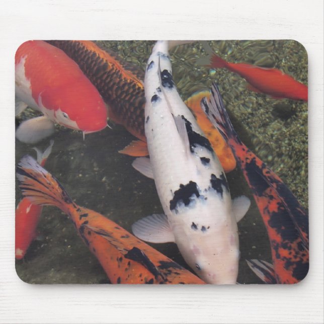 Mousepad Peixes de Koi (Frente)