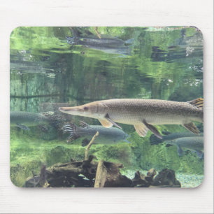 Mousepad Peixes de Pike