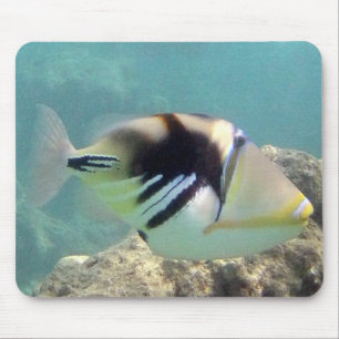 Mousepad Peixes do Estado do Havaí - Humuhumunukunukuapua