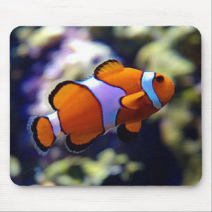 Mousepad peixes do palhaço