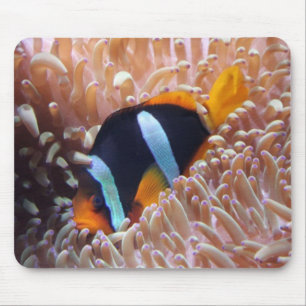 Mousepad Peixes do palhaço