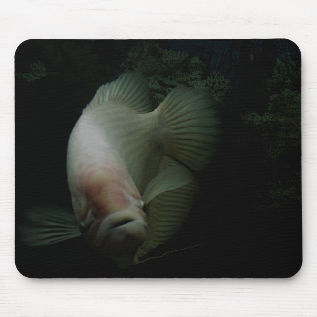 Mousepad Peixes em Tanque (Frente)