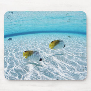 Mousepad Peixes no mar 2