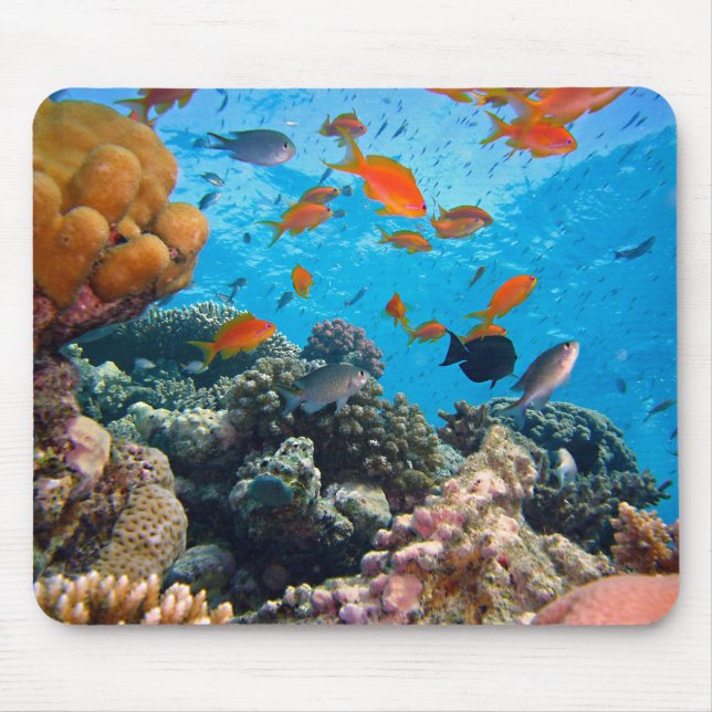 Mousepad Peixes Submarinos e Cena de Coral (Frente)