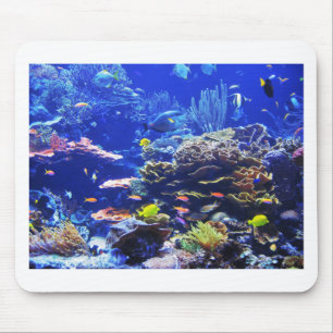 Mousepad Peixes tropicais