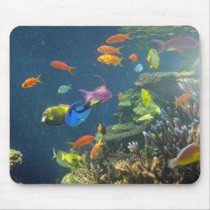 Mousepad Peixes tropicais havaianos