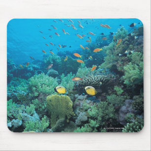 Mousepad Peixes tropicais que nadam sobre o recife