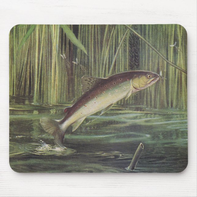 Mousepad Peixes - truta de Brown - trutta do Salmo (Frente)