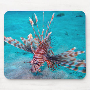 Mousepad Peixes vermelhos bonitos do leão