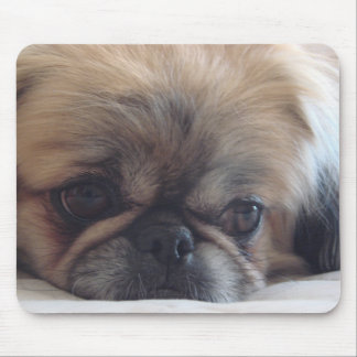 Mousepad Pekingese