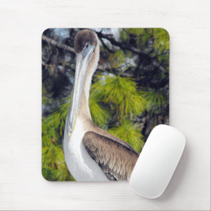 Mousepad Pelecano-marrom-jovem