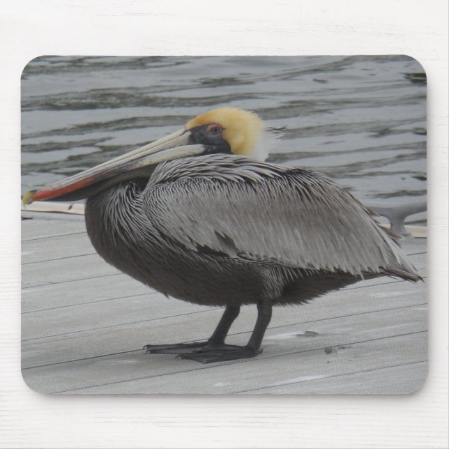 Mousepad Pelican (Frente)