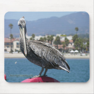 Mousepad Pelican orgulhoso