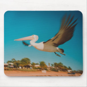 Mousepad Pelicano
