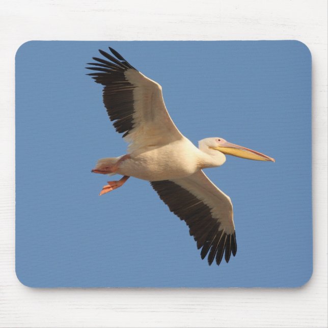 Mousepad Pelicano branco (Frente)