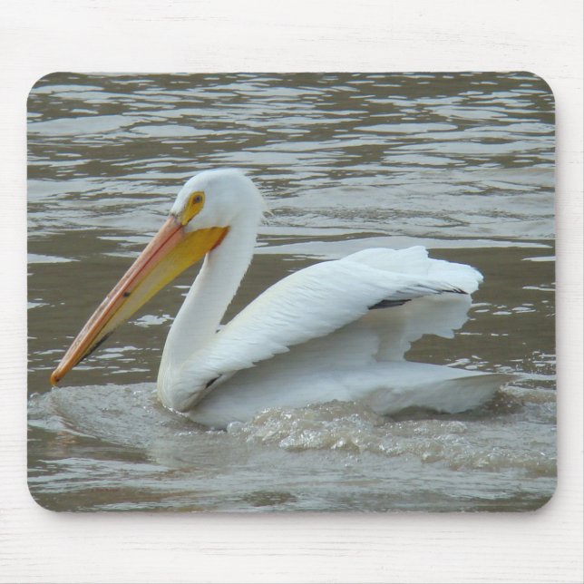 Mousepad Pelicano Branco Americano B14 (Frente)