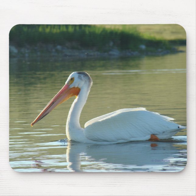 Mousepad Pelicano Branco B4 (Frente)