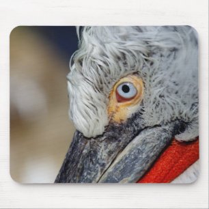Mousepad Pelicano Dalmágico