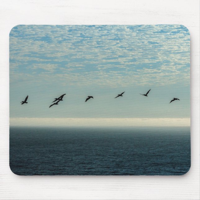Mousepad Pelicanos (Frente)