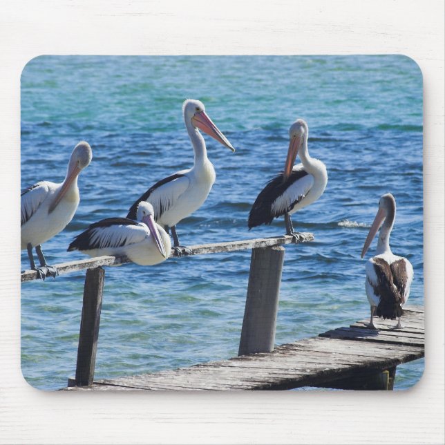 Mousepad Pelicanos (Frente)