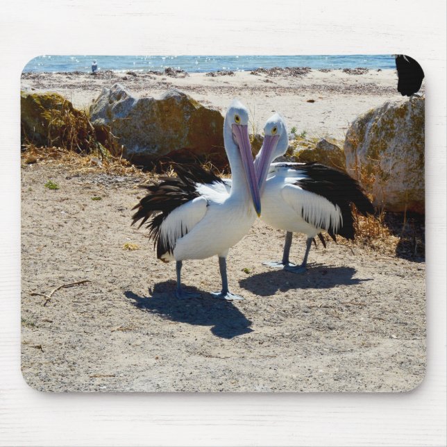 Mousepad Pelicanos Apaixonados (Frente)