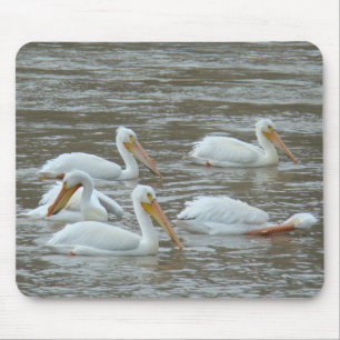 Mousepad Pelicanos Brancos Americanas B16