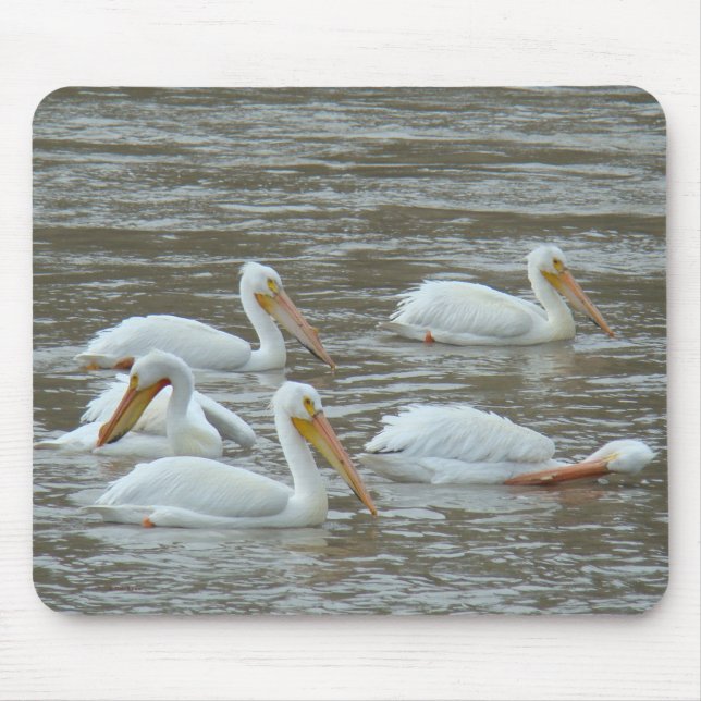 Mousepad Pelicanos Brancos Americanas B16 (Frente)