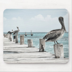 Mousepad Pelicanos no Pad do Mouse Dock HAMbyWG