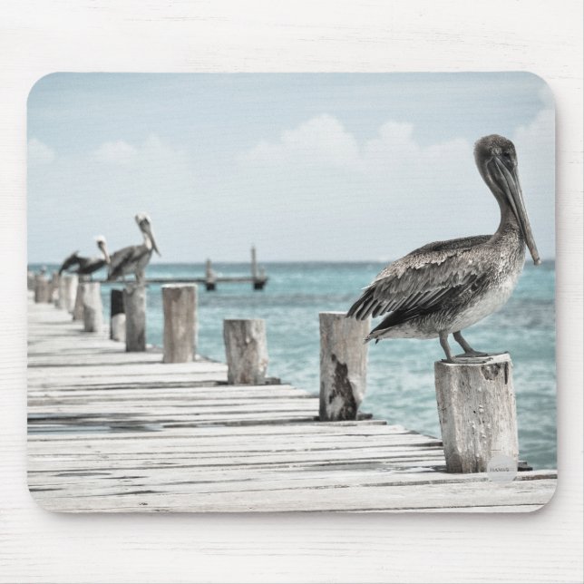 Mousepad Pelicanos no Pad do Mouse Dock HAMbyWG (Frente)