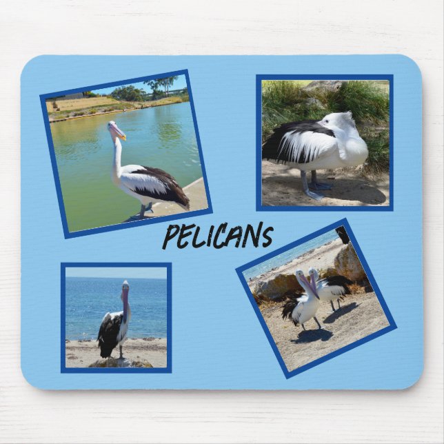 Mousepad Pelicanos, Os Quatro Quadros Fotográficos Mais Fre (Frente)