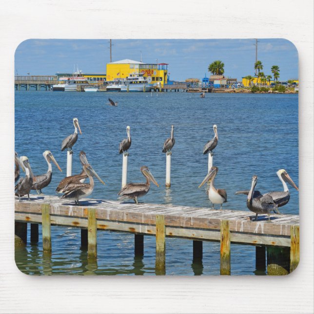 Mousepad Pelicanos que Sunbathing (Frente)
