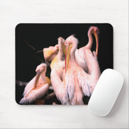 Mousepad Pelicanos rosa