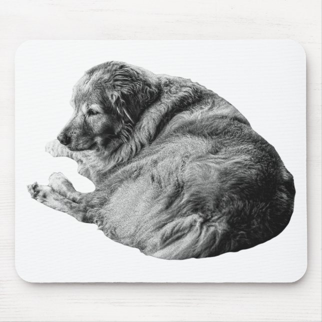 Mousepad Pelo Macio de Cachorro Levanta a Energia Calma do  (Frente)