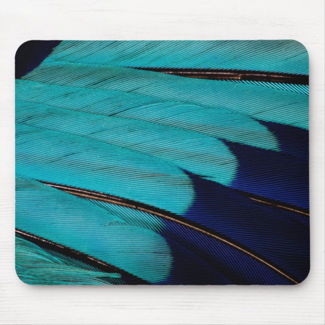 Mousepad Pena Abstrata de Rolo Indiano (Frente)