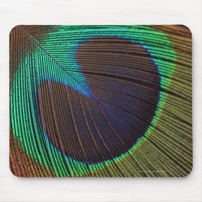 Mousepad Pena de Peacock (Frente)