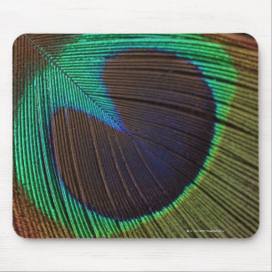 Mousepad Penas 3 do pavão