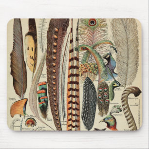 Mousepad Penas Antigas de Feather Bird