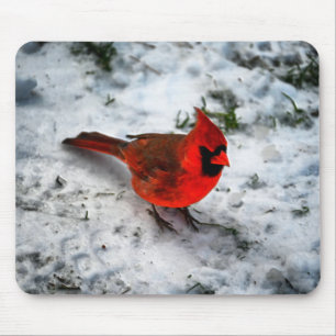 Mousepad Penas Cardinais Vermelhas e Plumagem