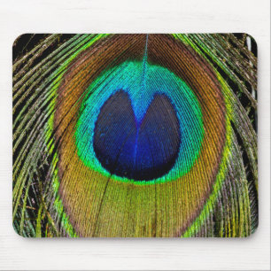 Mousepad Penas da cauda do pavão macho
