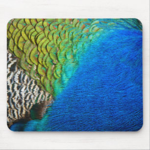 Mousepad Penas de Pavão IV Natureza Abstrata Colorida
